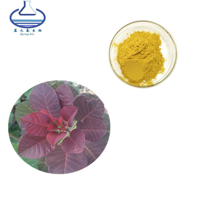 CAS 528-48-3 Rhus Succedanea L Extract Powder Fisetin Powder