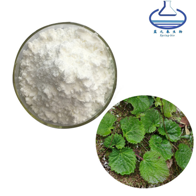 Natural Relieve Cough Bergenia Purpurascens Extract Bergenin Powder