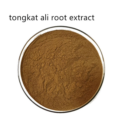 Natural Pure Plant Extracts Tongkat Ali Root Extract Powder