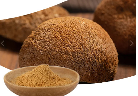 4/1 - 10/1 Polysaccharide Powder Lions Mane Mushroom Extract