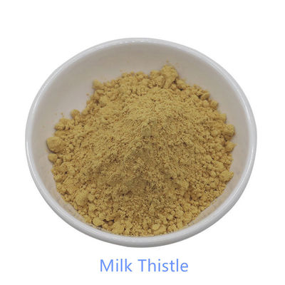 Milk Thistle Extract Water Soluble Silymarin 40% Powder Pure Plant Extracts