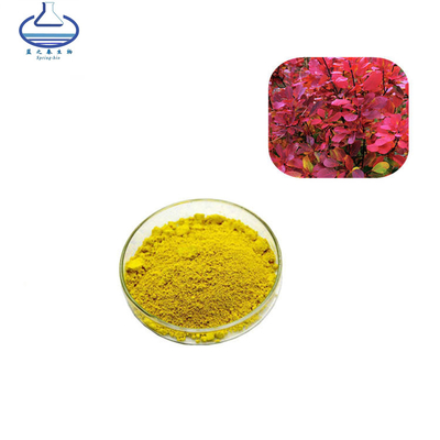 Smoke Tree Extract Cotinus Coggygria Smoketree Extract Fisetin Powder