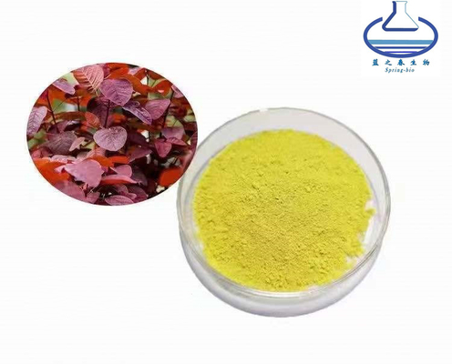 Smoke Tree Extract Cotinus Coggygria Smoketree Extract Fisetin Powder