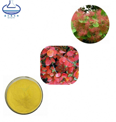 Cotinus Coggygria Extract Fisetin Powder CAS 528-48-3