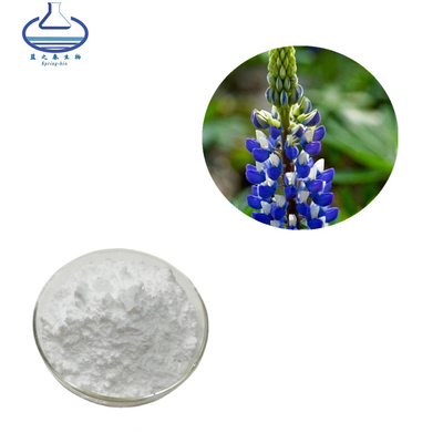 Natural Lupinus Polyphyllus Extract Lupeol For Anti Oxidation