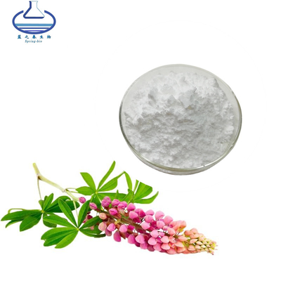 Natural Lupinus Polyphyllus Extract Lupeol For Anti Oxidation
