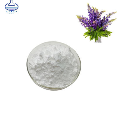Anti Oxidation Lupinus Albus Extract Lupeol Powder CAS NO. 545-47-1