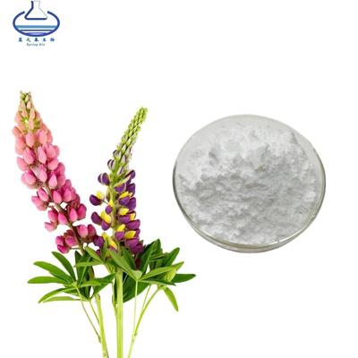 Anti Oxidation Lupinus Albus Extract Lupeol Powder CAS NO. 545-47-1