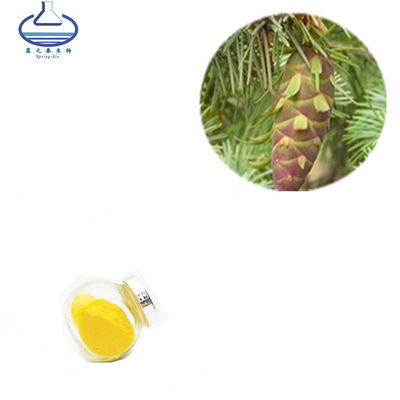 Wholesale Taxifolin Larch Tree Extract Taxifolin Powder