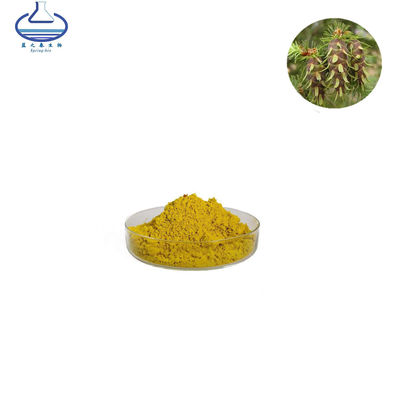 Wholesale Taxifolin Larch Tree Extract Taxifolin Powder
