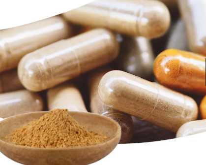 4/1 - 10/1 Polysaccharide Powder Lions Mane Mushroom Extract