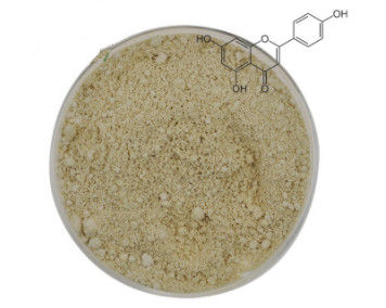 98% Apigenin Pure Coenzyme Q10 , Food grade Celery Extract Powder